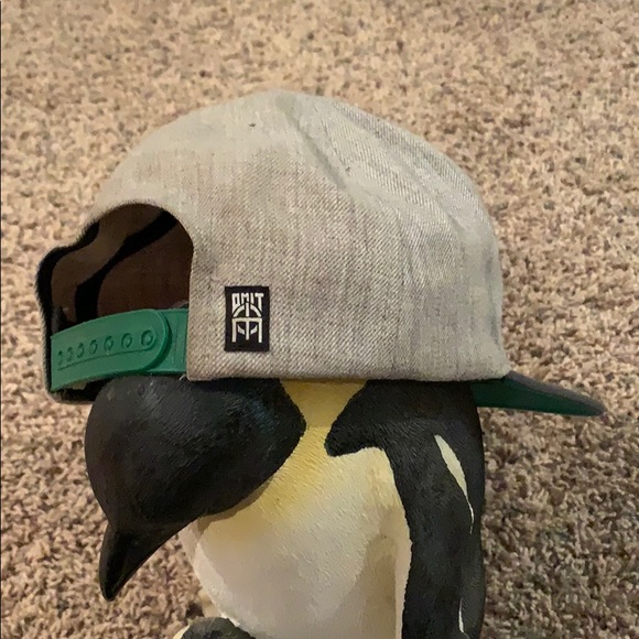 Omit SnapBack - Picture 3 of 4